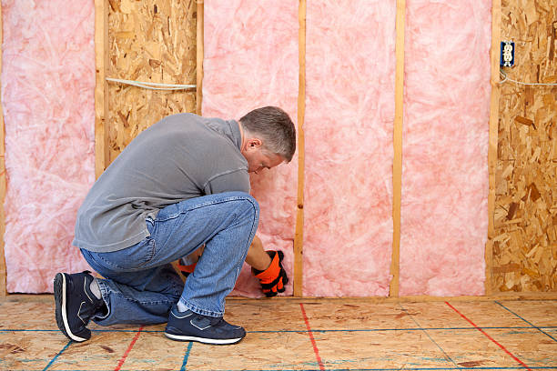 Best Spray Foam Insulation  in West Wendover, NV